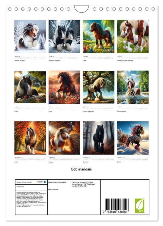 Produktbild: Cob irlandais (Calendrier mural 2026 DIN A4 horizontal), CALVENDO calendrier mensuel