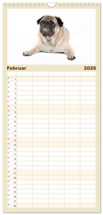 Produktbild: Familienplaner 2026 - Mops - unwiderstehlich und charmant mit 5 Spalten (Wandkalender, 21 x 45 cm) CALVENDO