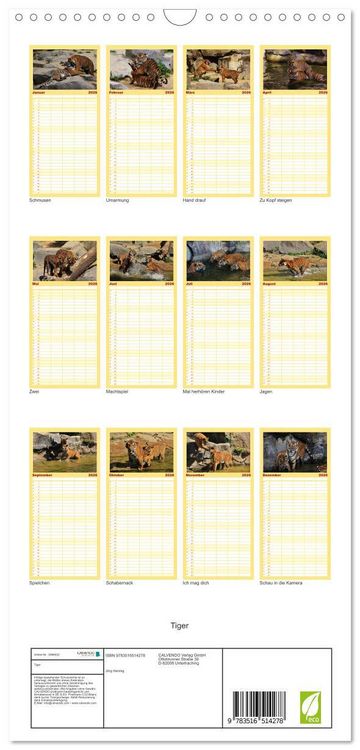 Produktbild: Familienplaner 2026 - Tiger mit 5 Spalten (Wandkalender, 21 x 45 cm) CALVENDO