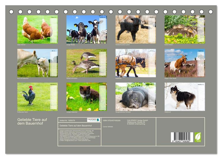 Produktbild: Geliebte Tiere auf dem Bauernhof (Tischkalender 2026 DIN A5 quer), CALVENDO Monatskalender