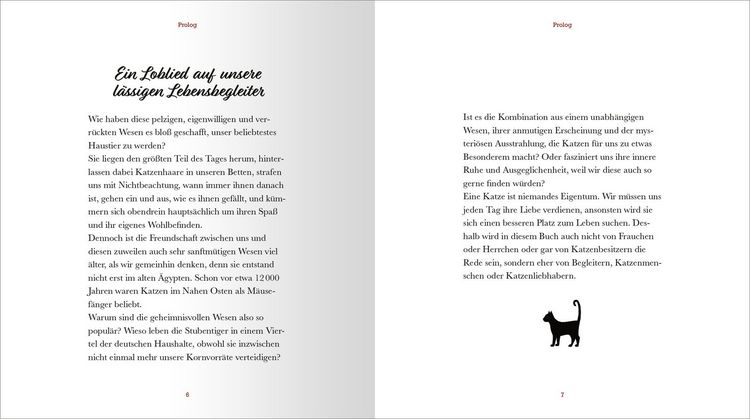 Produktbild: Kleine Katzenphilosophie