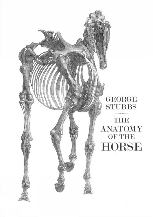 Produktbild: The Anatomy of the Horse