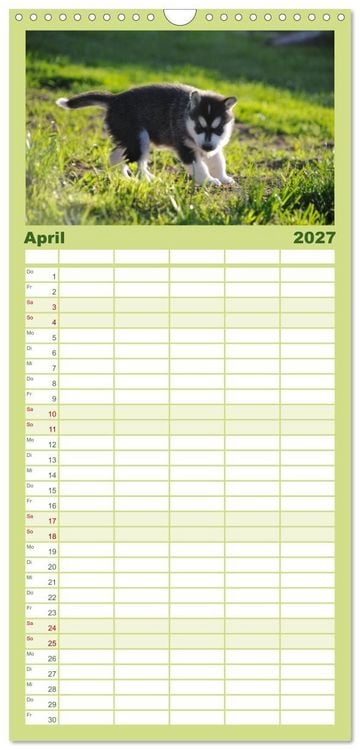 Produktbild: Familienplaner 2027 - Huskys - Traumhunde mit 5 Spalten (Wandkalender, 21 x 45 cm) CALVENDO