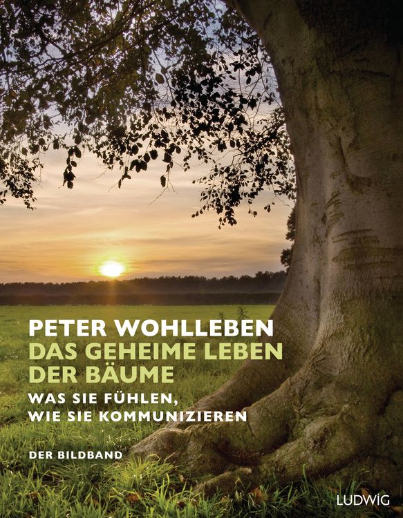 Produktbild: Das geheime Leben der B&auml;ume