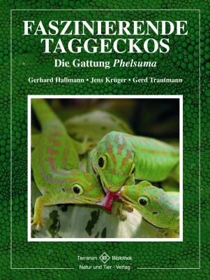 Produktbild: Faszinierende Taggeckos