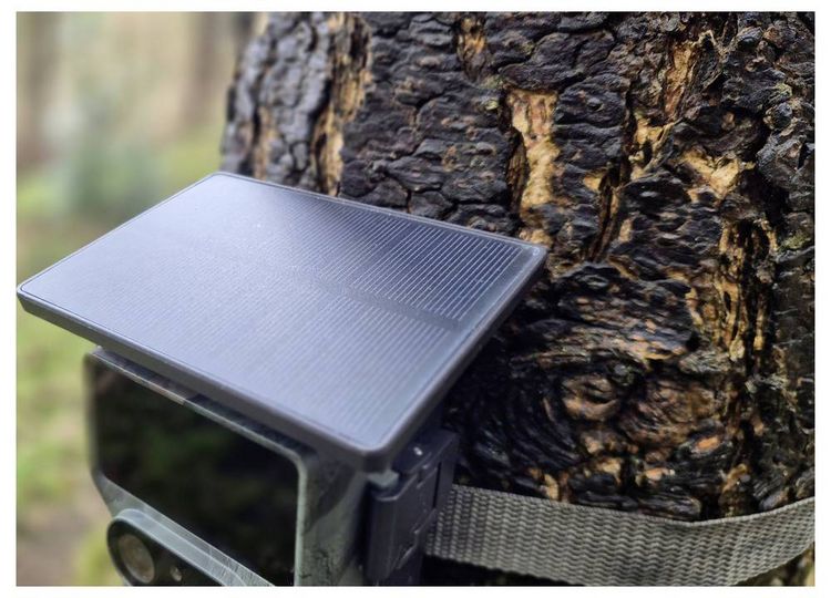 Produktbild: Braun Phototechnik Cam Black1321 Wildkamera WLAN Camouflage
