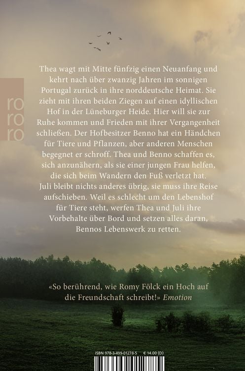 Produktbild: Das Licht in den Birken