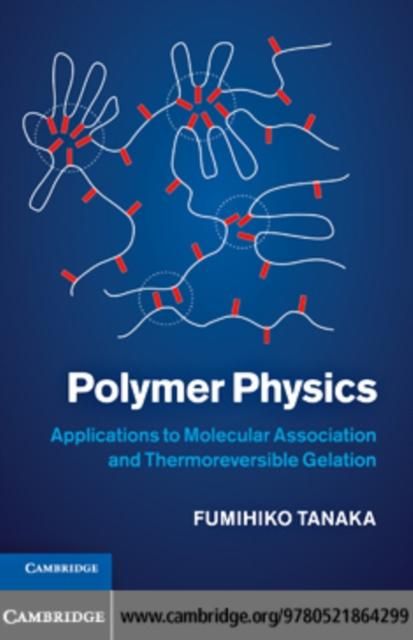 Produktbild: Polymer Physics
