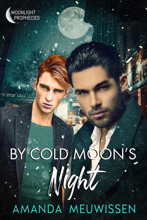 Produktbild: By Cold Moon's Night