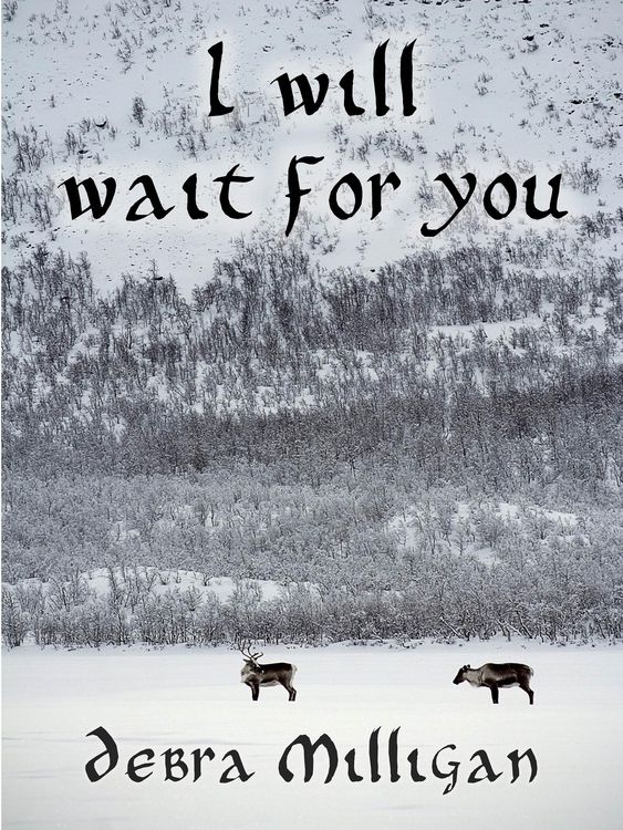 Produktbild: I Will Wait for You