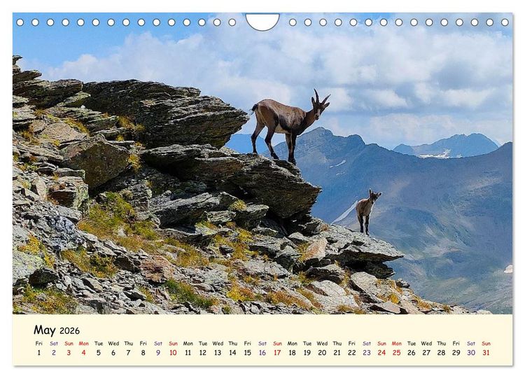 Produktbild: Switzerland and its majestic Alps (Wall Calendar 2026 DIN A4 landscape), CALVENDO 12 Month Wall Calendar