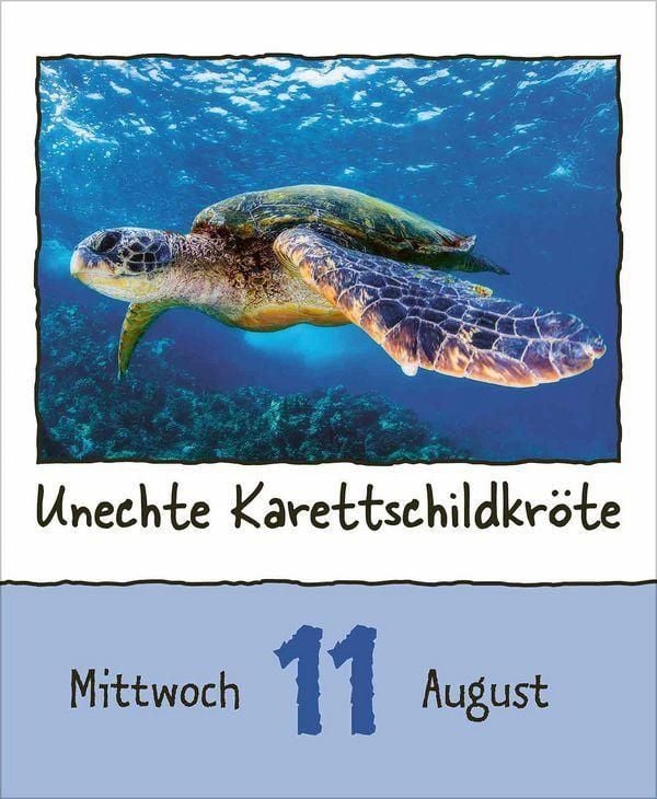 Produktbild: Tierisch unterwegs 2027