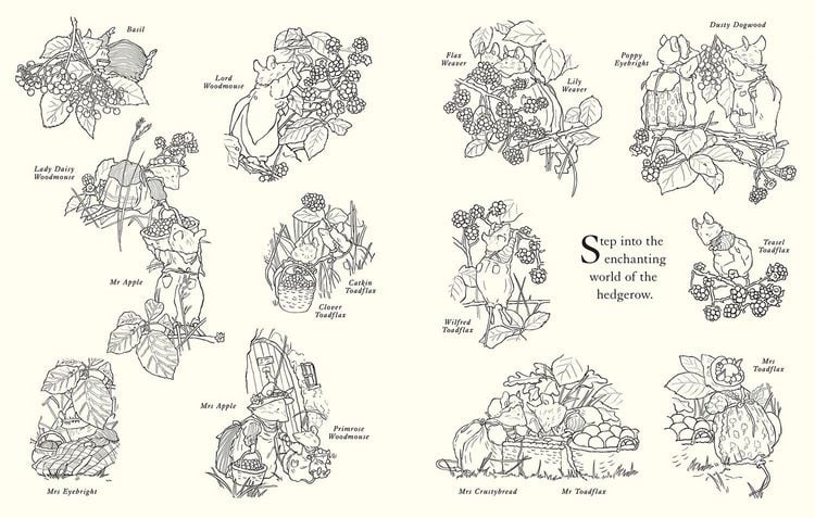 Produktbild: Brambly Hedge: Festive Coloring Book