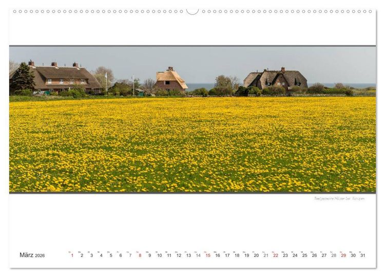 Produktbild: Emotionale Momente: Sylt de Luxe - die sch&ouml;nste deutsche Insel. (Wandkalender 2026 DIN A2 quer), CALVENDO Monatskalender