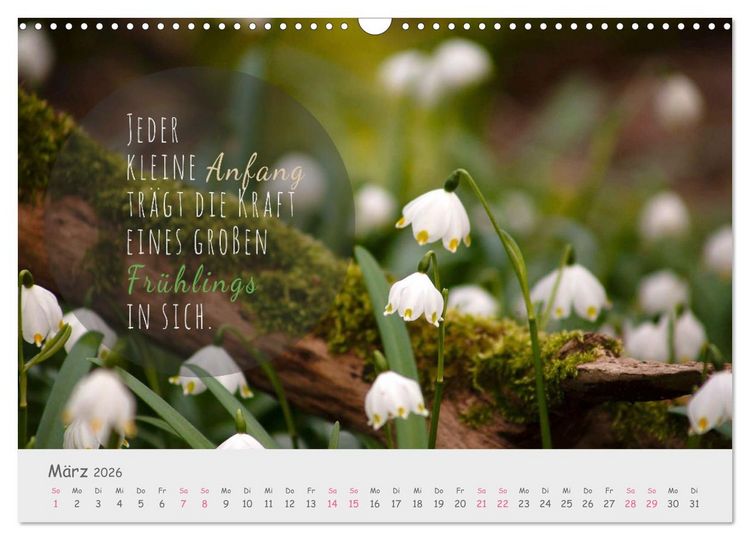 Produktbild: Sanfte Bl&uuml;ten &ndash; leise Worte (Wandkalender 2026 DIN A3 quer), CALVENDO Monatskalender