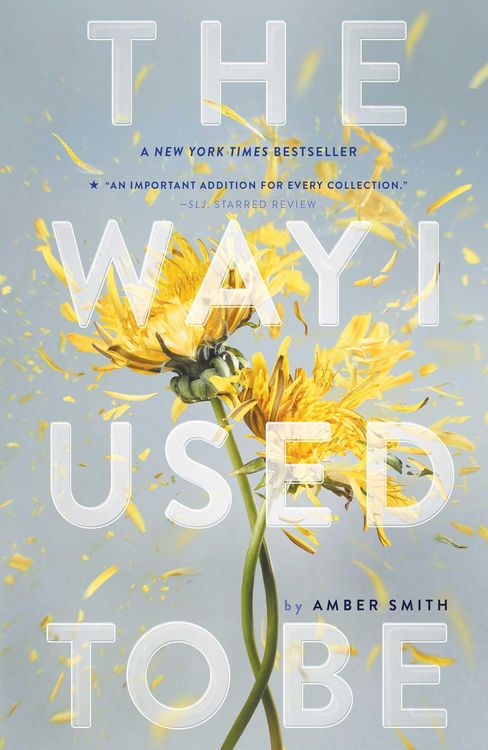 Produktbild: The Way I Used to Be