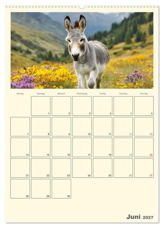 Produktbild: Eselmomente. Natur, Freiheit und Charakter (Wandkalender 2027 DIN A2 hoch), CALVENDO Monatskalender