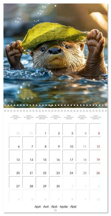 Produktbild: Cute Otter Moments (Wall Calendar 2026 12 &times; 12 Inch) CALVENDO 12 Month Wall Calendar