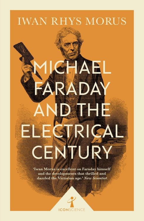 Produktbild: Michael Faraday and the Electrical Century (Icon Science)
