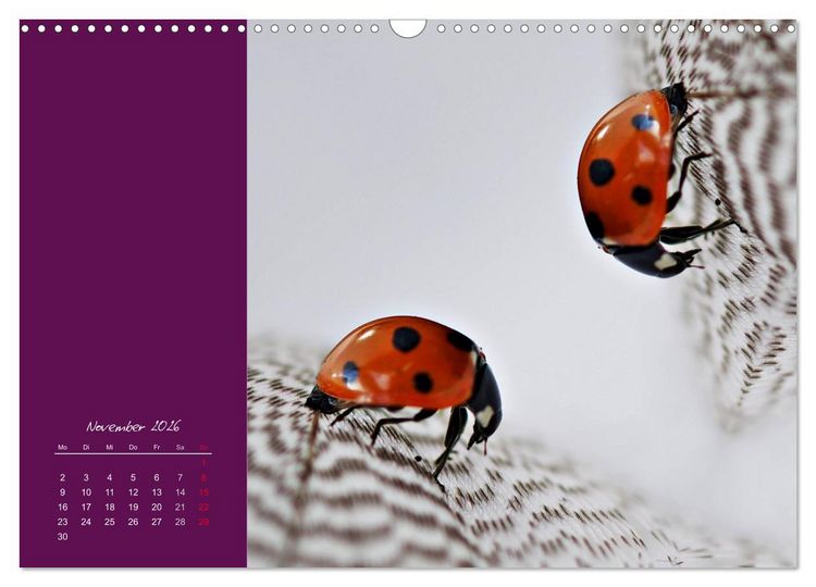 Produktbild: Momente des Gl&uuml;cks (Wandkalender 2026 DIN A3 quer), CALVENDO Monatskalender