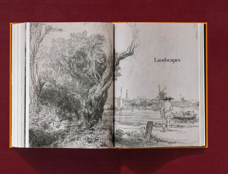 Produktbild: Rembrandt. S&auml;mtliche Zeichnungen und Radierungen