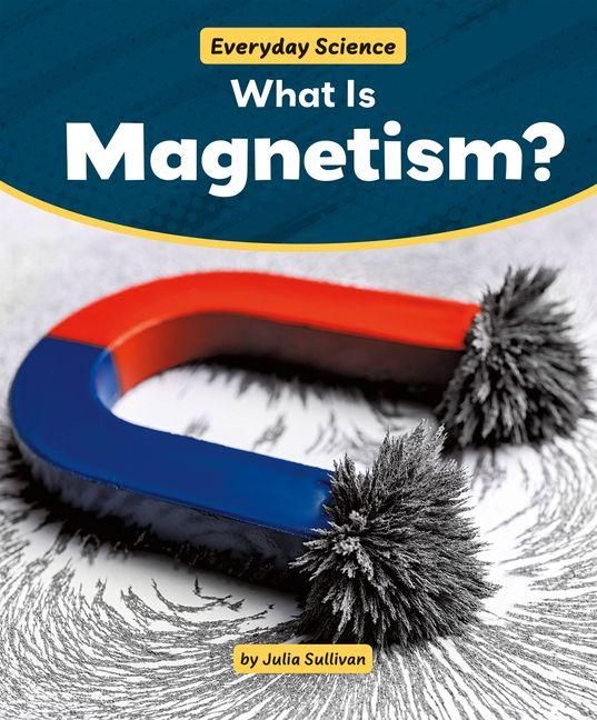 Produktbild: What Is Magnetism?