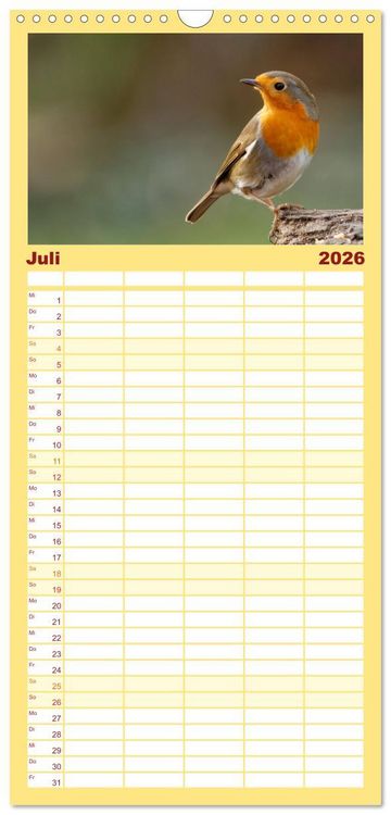 Produktbild: Familienplaner 2026 - Rotkehlchen - Fotografiert von Ostfriesenfotografie mit 5 Spalten (Wandkalender, 21 x 45 cm) CALVENDO