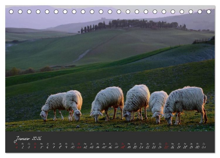 Produktbild: Licht der Toscana (Tischkalender 2026 DIN A5 quer), CALVENDO Monatskalender