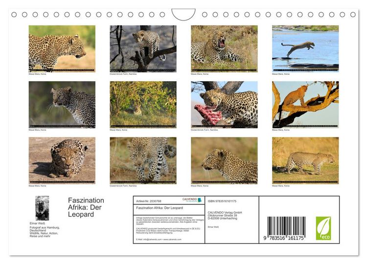 Produktbild: Faszination Afrika: Der Leopard (Wandkalender 2026 DIN A4 quer), CALVENDO Monatskalender