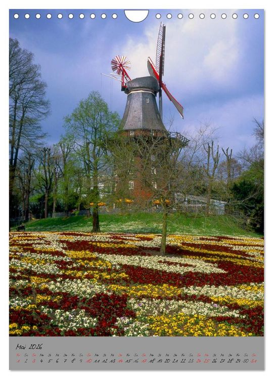 Produktbild: Windm&uuml;hlen in Norddeutschland (Wandkalender 2026 DIN A4 hoch), CALVENDO Monatskalender