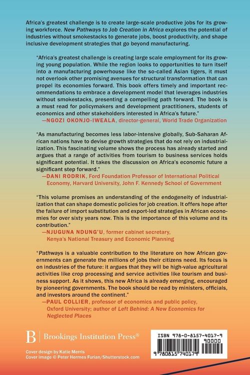 Produktbild: New Pathways to Job Creation and Development in Africa