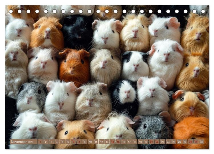 Produktbild: Kuschelblicke (Tischkalender 2026 DIN A5 quer), CALVENDO Monatskalender