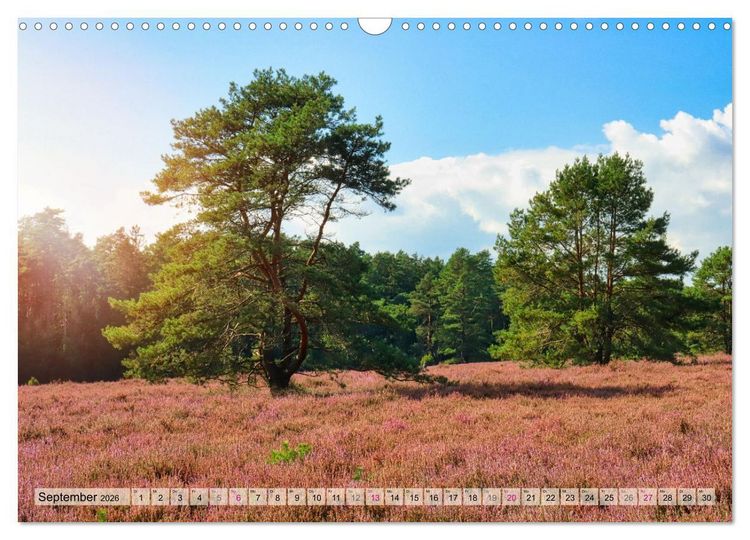 Produktbild: L&uuml;neburger S&uuml;dheide (Wandkalender 2026 DIN A3 quer), CALVENDO Monatskalender