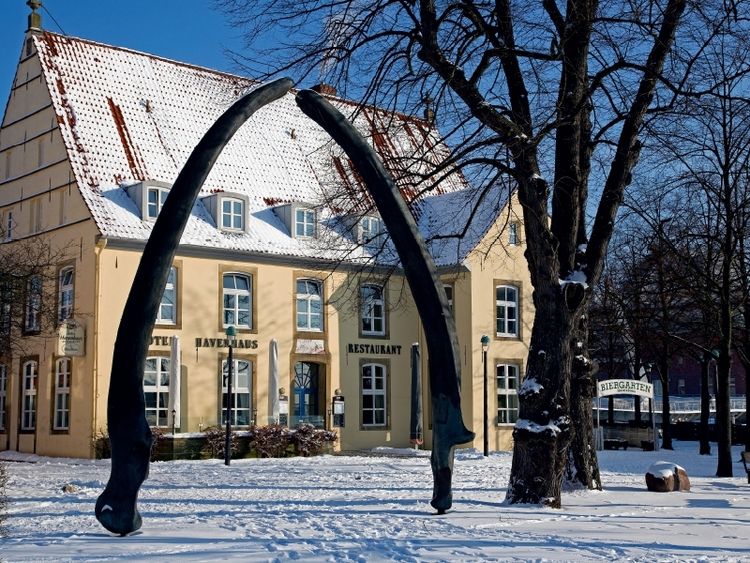 Produktbild: Walkiefer vor dem Hotel Havenhaus (Puzzle)