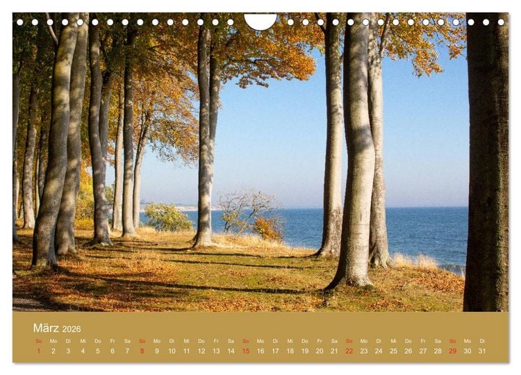 Produktbild: M&ouml;n, Impressionen einer d&auml;nischen Insel (Wandkalender 2026 DIN A4 quer), CALVENDO Monatskalender