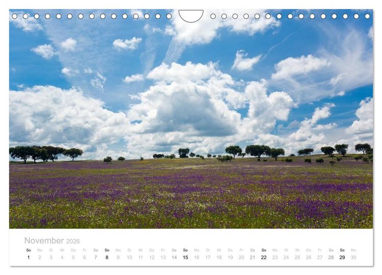 Produktbild: Portugal im Fr&uuml;hling (Wandkalender 2026 DIN A4 quer), CALVENDO Monatskalender