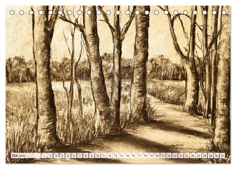 Produktbild: Pausen f&uuml;r deine Seele - Seelenlandschaften in Sepia - Ein Jahr der Ruhe mit Kohlezeichnungen (Tischkalender 2026 DIN A5 quer), CALVENDO Monatskalender