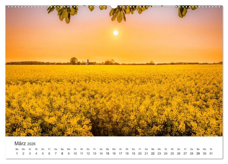 Produktbild: Lichtmomente - Fotografien, die in einem besonderen Licht erstrahlen. (hochwertiger Premium Wandkalender 2026 DIN A2 quer), Kunstdruck in Hochglanz