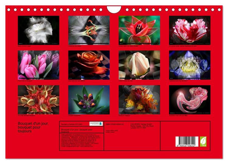 Produktbild: Bouquet d'un jour, bouquet pour toujours (Calendrier mural 2026 DIN A4 vertical), CALVENDO calendrier mensuel