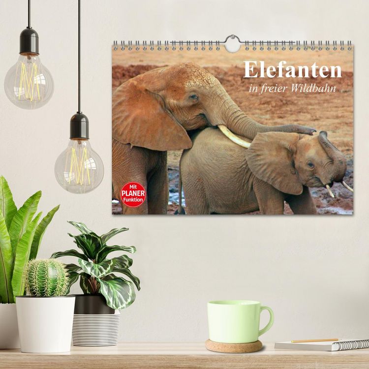 Produktbild: Elefanten in freier Wildbahn (Wandkalender 2026 DIN A4 quer), CALVENDO Monatskalender
