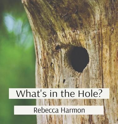 Produktbild: What's in the Hole?