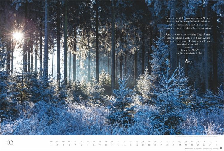 Produktbild: Der deutsche Wald - Ein literarischer Spaziergang Kalender 2027 - Ein literarischer Spaziergang