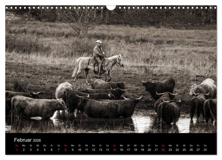 Produktbild: Westernreiten (Wandkalender 2026 DIN A3 quer), CALVENDO Monatskalender