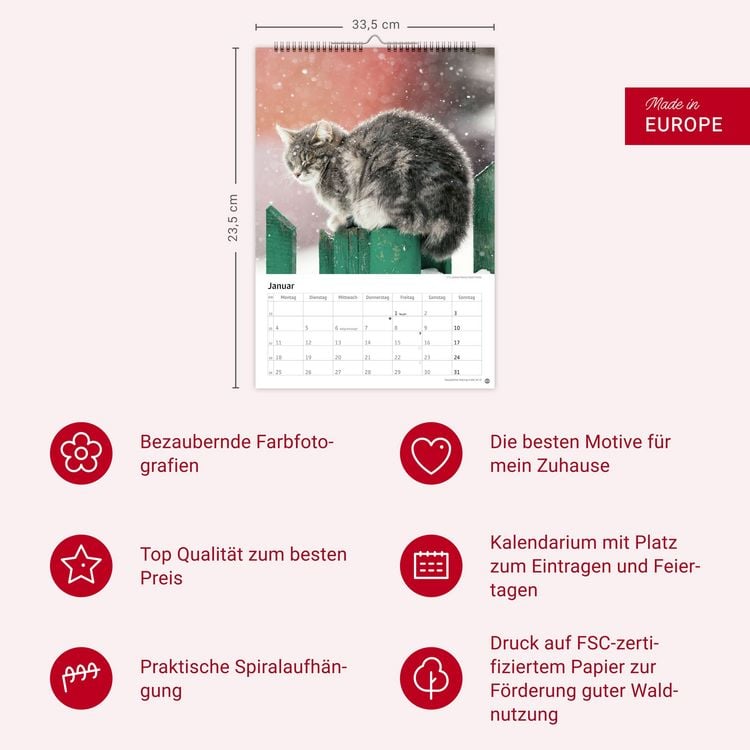 Produktbild: Katzen Kalender 2027
