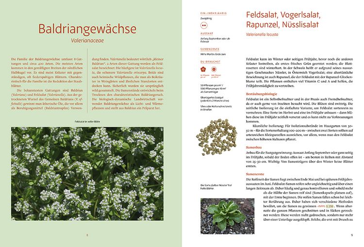Produktbild: Handbuch Sameng&auml;rtnerei