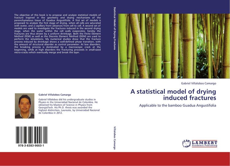 Produktbild: A statistical model of drying induced fractures