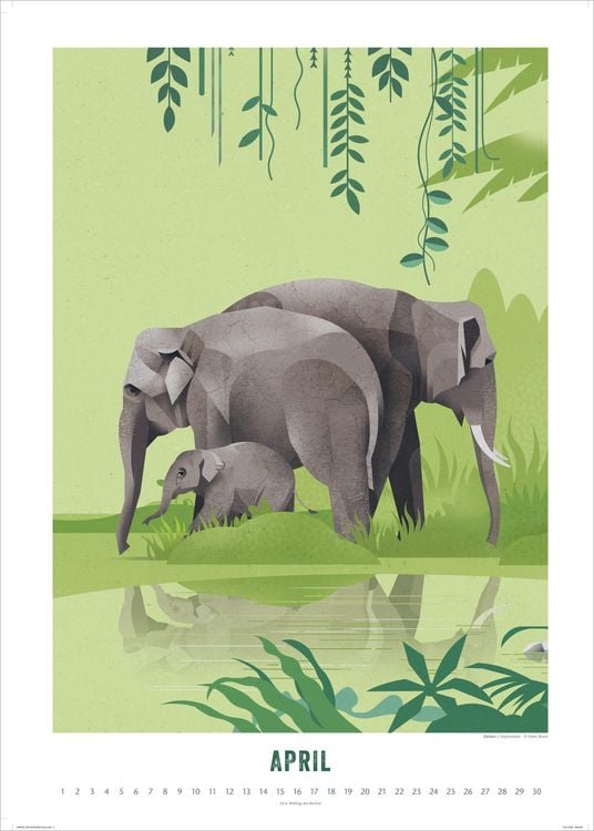Produktbild: Die Welt der Tiere 2027