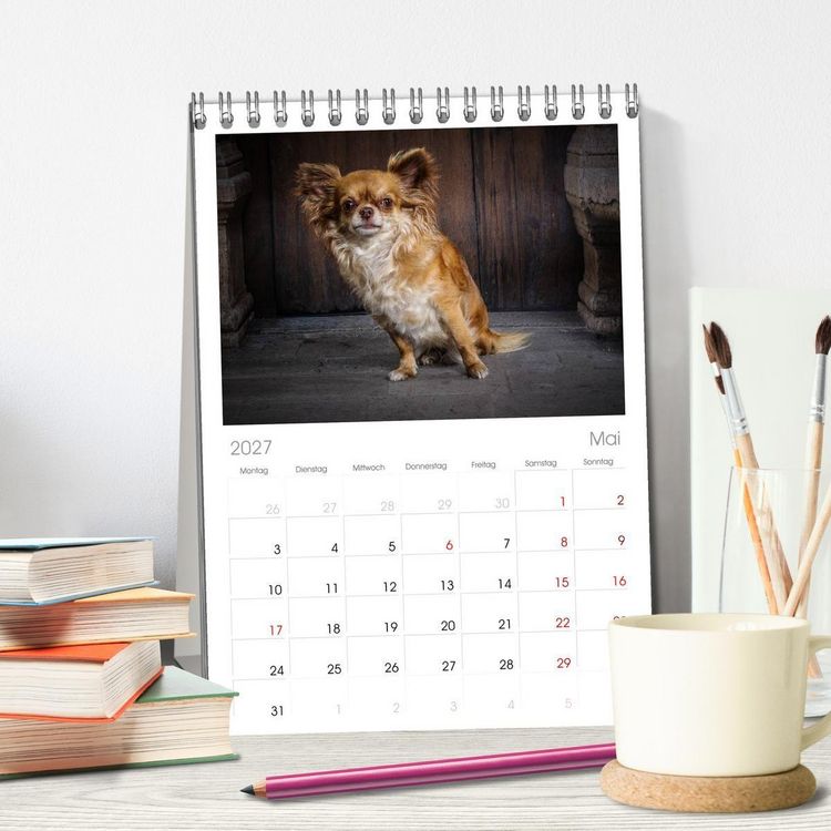 Produktbild: Tischplaner 2027 - Chihuahuas - Cool and Cute (A5 Tischkalender zum Aufstellen) CALVENDO