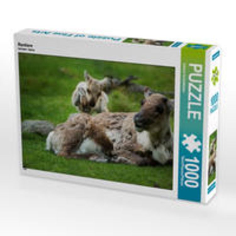 Produktbild: CALVENDO Puzzle Rentiere 1000 Teile Lege-Gr&ouml;&szlig;e 64 x 48 cm Foto-Puzzle Bild von Johann Sch&ouml;rkhuber