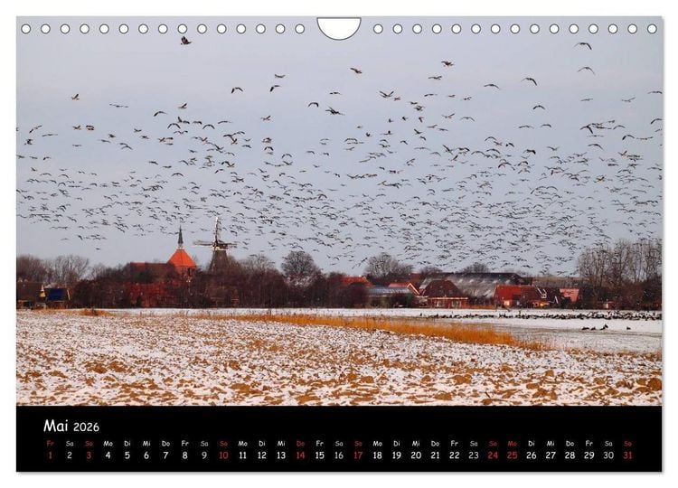 Produktbild: Schrei der Wildg&auml;nse (Wandkalender 2026 DIN A4 quer), CALVENDO Monatskalender